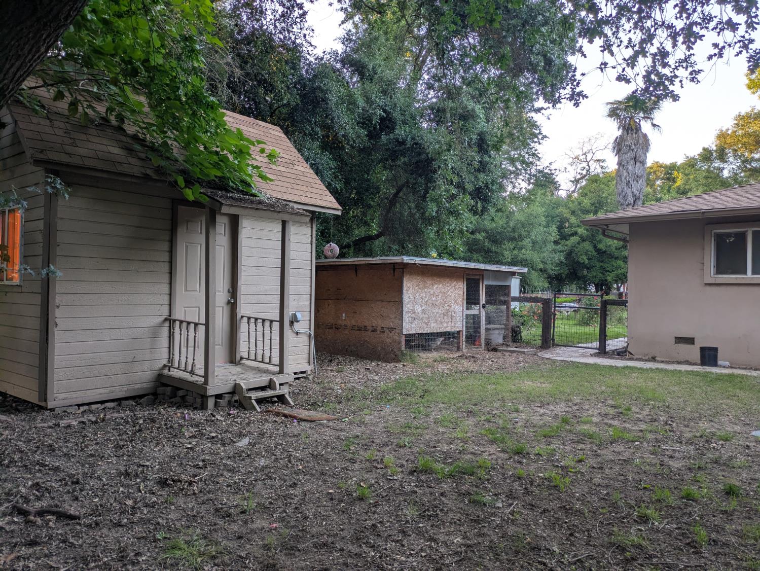 25931 Thornton Road Thornton, CA 95686 - Photo 30 of 31 a view of a house with a yard and tree