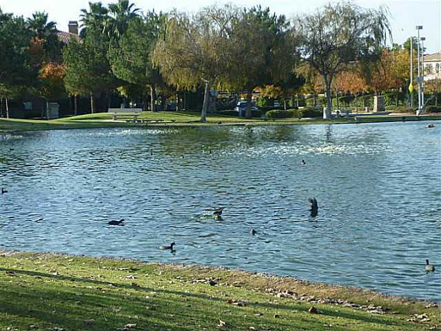 1576 Gold Run Road Chula Vista, CA 91913 - Photo 14 of 15