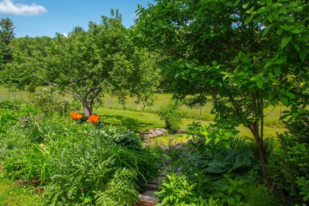 615 Old North Road Worthington, MA 01098 - Photo 36 of 41 Gallery Image 36