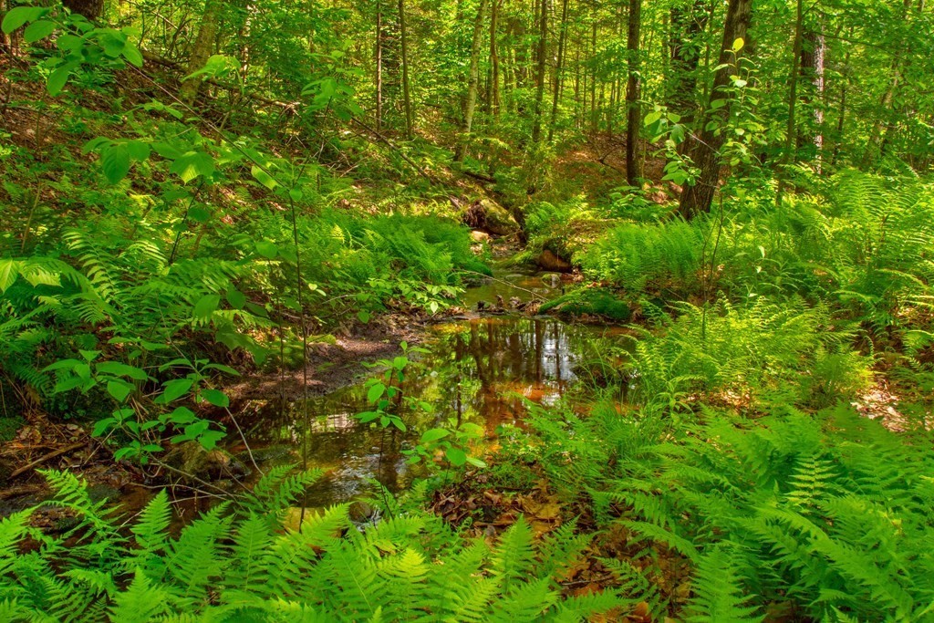 615 Old North Road Worthington, MA 01098 - Photo 40 of 41 Gallery Image 40