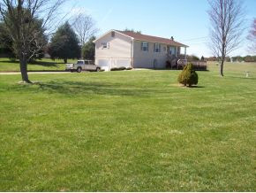 878 Shiloh Road Greeneville, TN 37745 - Photo 4 of 12 VIew From Road