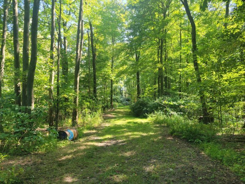 74 Daugherty Road Grove City, PA 16127 - Photo 2 of 10 Driveway entry to the lot off of 74 Daugherty Road