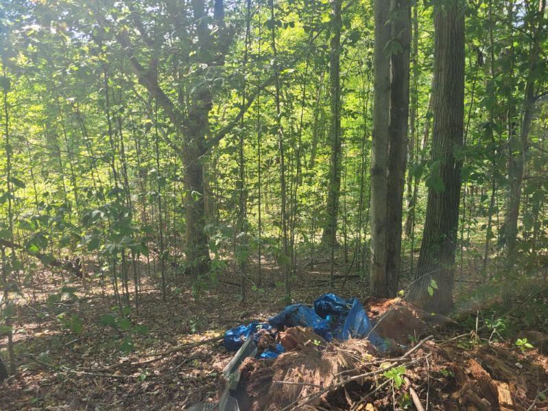 74 Daugherty Road Grove City, PA 16127 - Photo 4 of 10