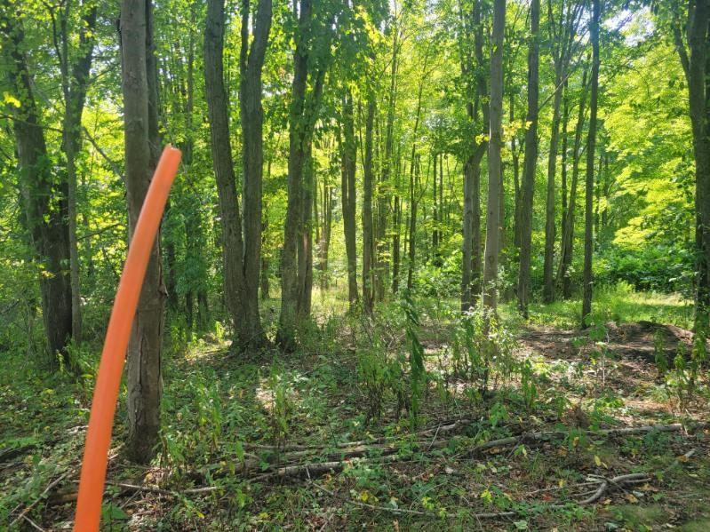 74 Daugherty Road Grove City, PA 16127 - Photo 7 of 10 Pin_NE Corner