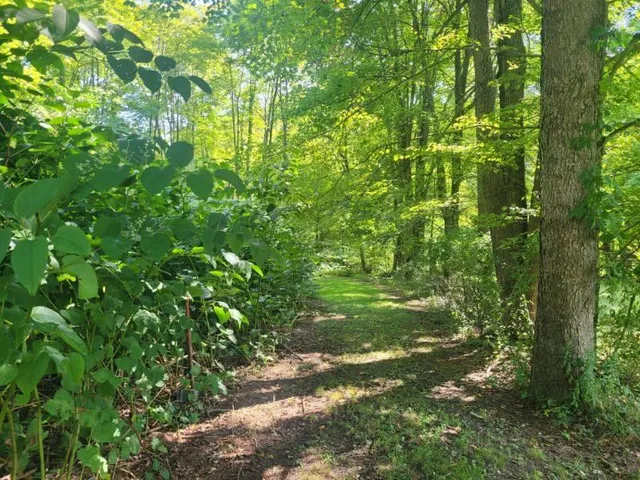 a backyard of a house
