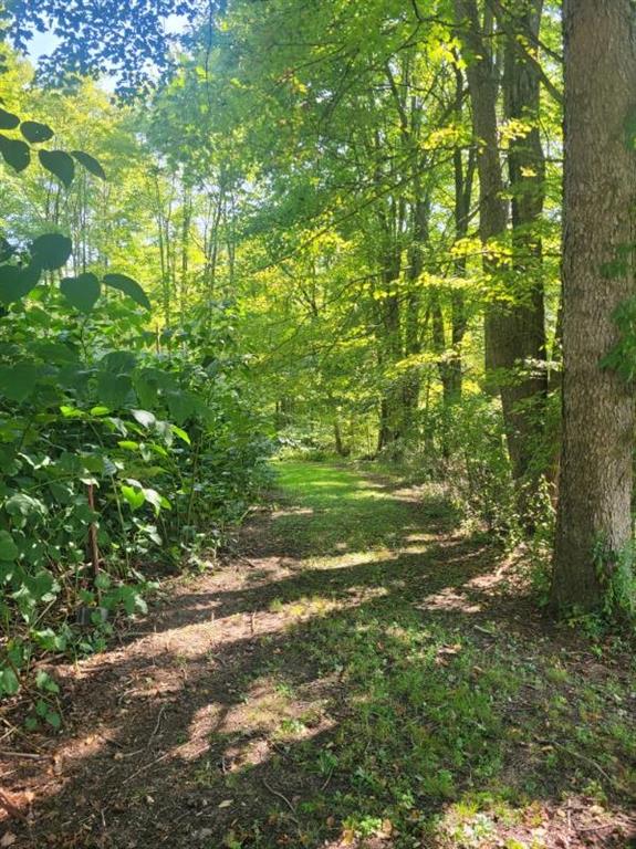 74 Daugherty Road Grove City, PA 16127 - Photo 9 of 10