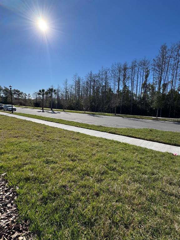 4552 Burrowing Owl Loop St. Cloud, FL 34772 - Photo 24 of 24