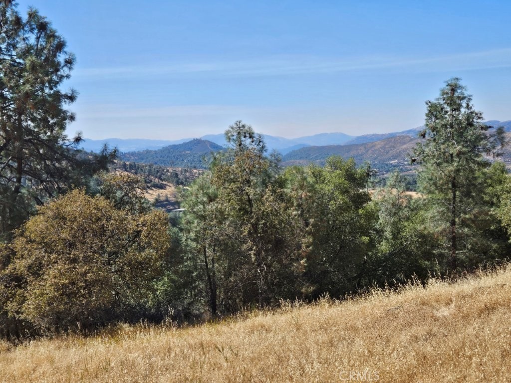 5640 Blue Oak Ridge Mariposa, CA 95338 - Photo 13 of 18 a view of a yard