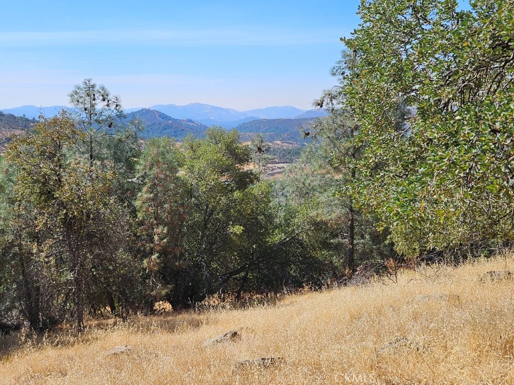 5640 Blue Oak Ridge Mariposa, CA 95338 - Photo 16 of 18 a view of a dry yard covered with snow in front of house