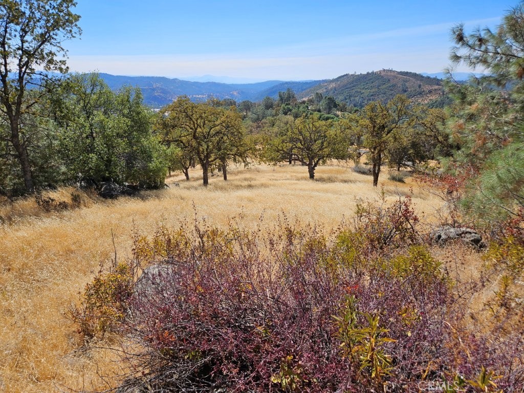 5640 Blue Oak Ridge Mariposa, CA 95338 - Photo 17 of 18 a view of mountain view with lots of trees