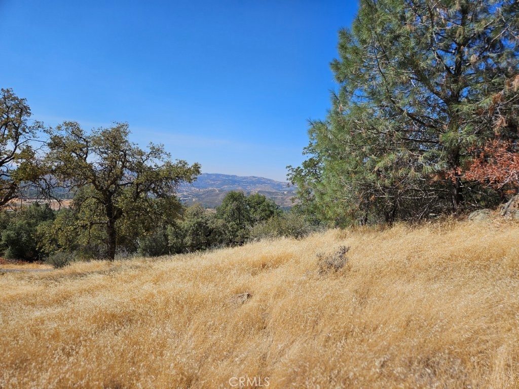 5640 Blue Oak Ridge Mariposa, CA 95338 - Photo 18 of 18 a view of a yard covered with snow in the background