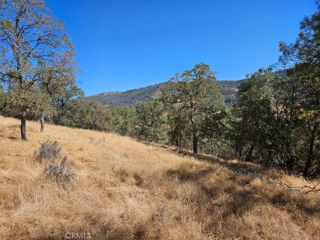 5640 Blue Oak Ridge Mariposa, CA 95338 - Photo 2 of 18