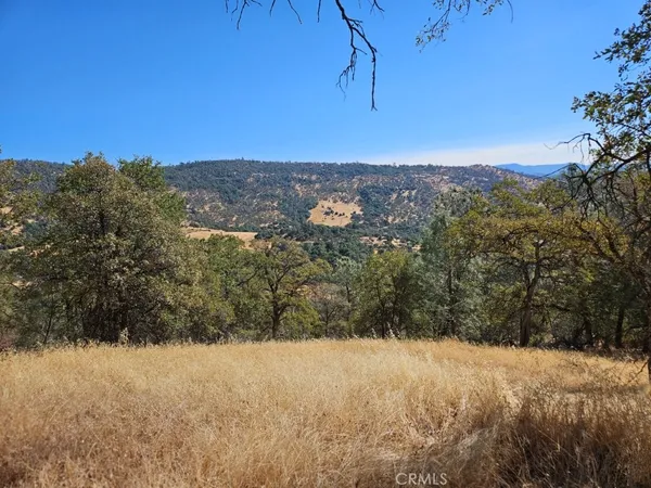 a view of a field with a tree in the background