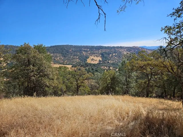 a view of a field with a tree in the background