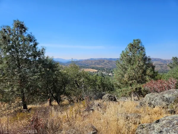 a view of a dry yard with trees
