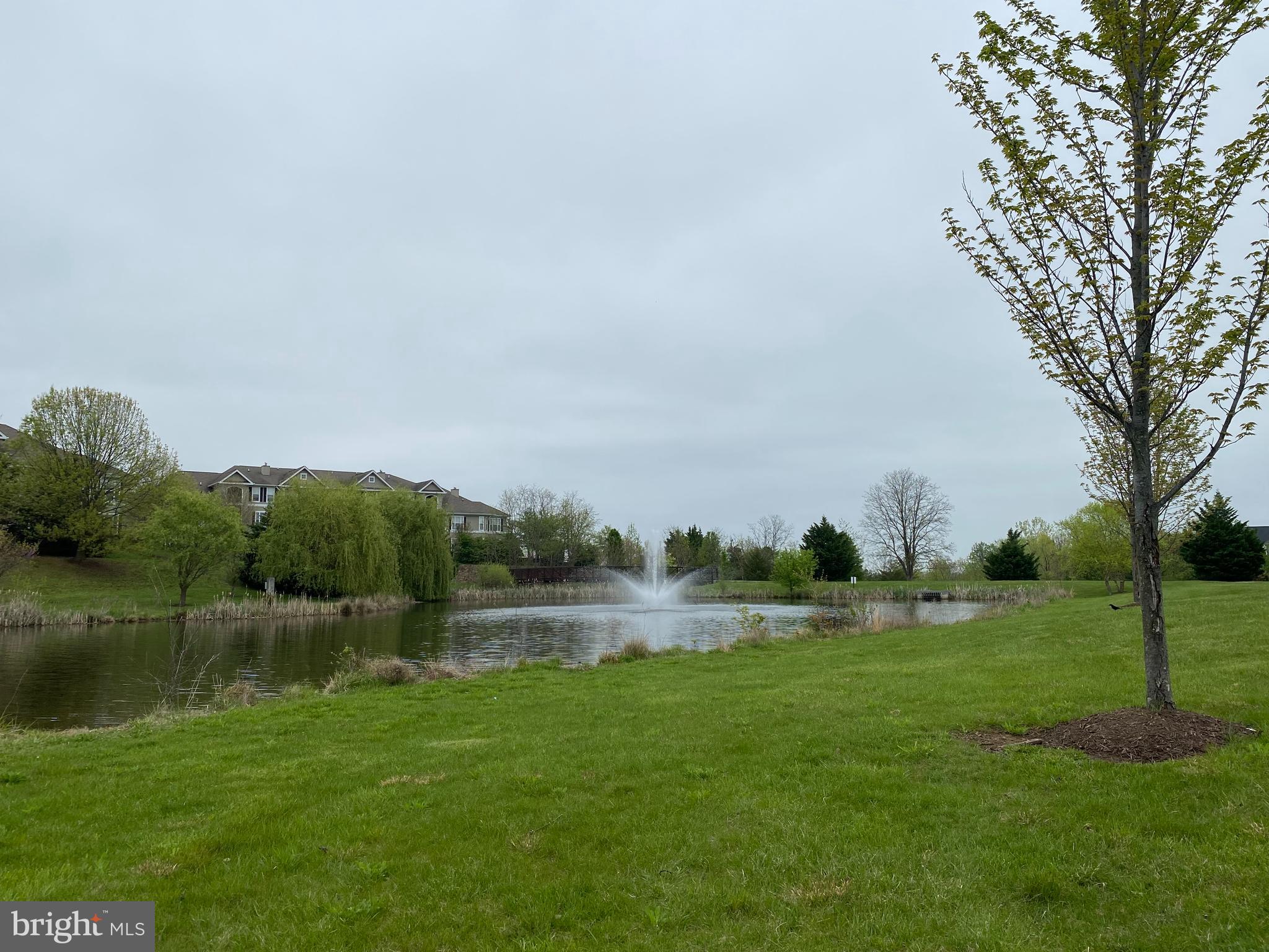 681 Springhouse Square Southeast Leesburg, VA 20175 - Photo 45 of 50 Community pond w/ walking trail & fountain