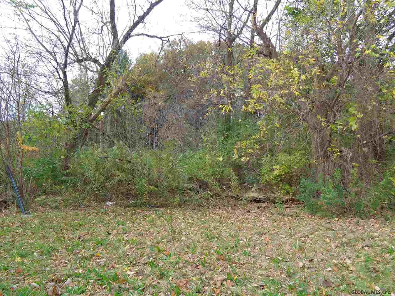 0 Troy Schenectady Road Niskayuna, NY 12309 - Photo 1 of 2 Photo 1