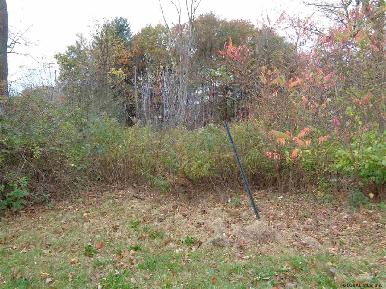 0 Troy Schenectady Road Niskayuna, NY 12309 - Photo 2 of 2 Photo 2