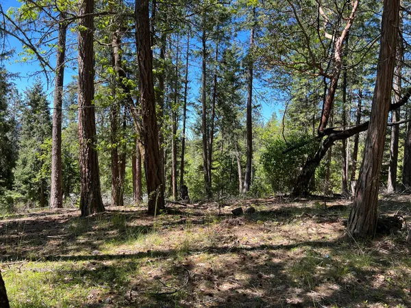 $45,000 | 348 Flounce Rock Road, Prospect, OR 97536