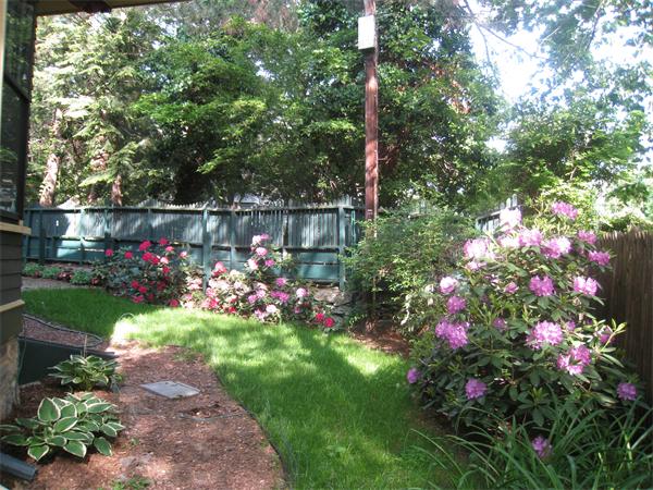 30 Upland Road Brookline, MA 02445 - Photo 8 of 9 Gallery Image 8