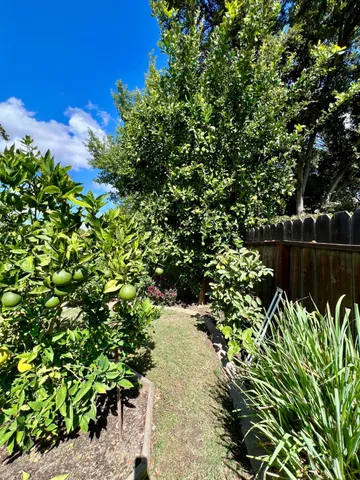 a view of a backyard with plants and a patio