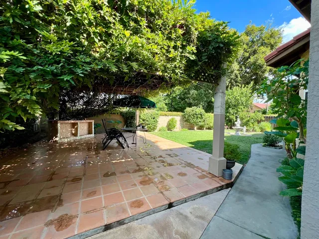 a view of a garden with a flower