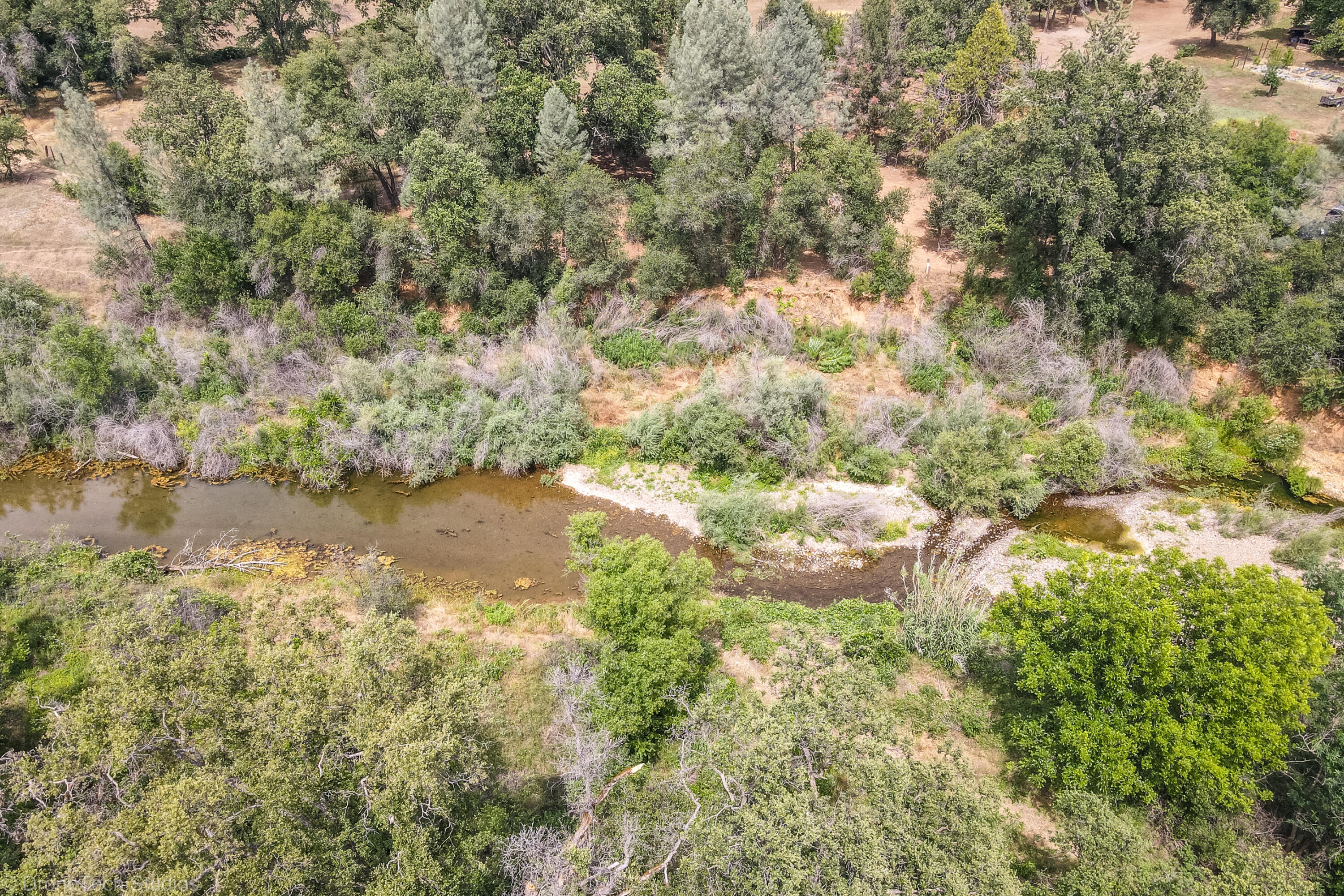 9983 Harley Leighton Road Redding, CA 96003 - Photo 39 of 58 Lots of wildlife