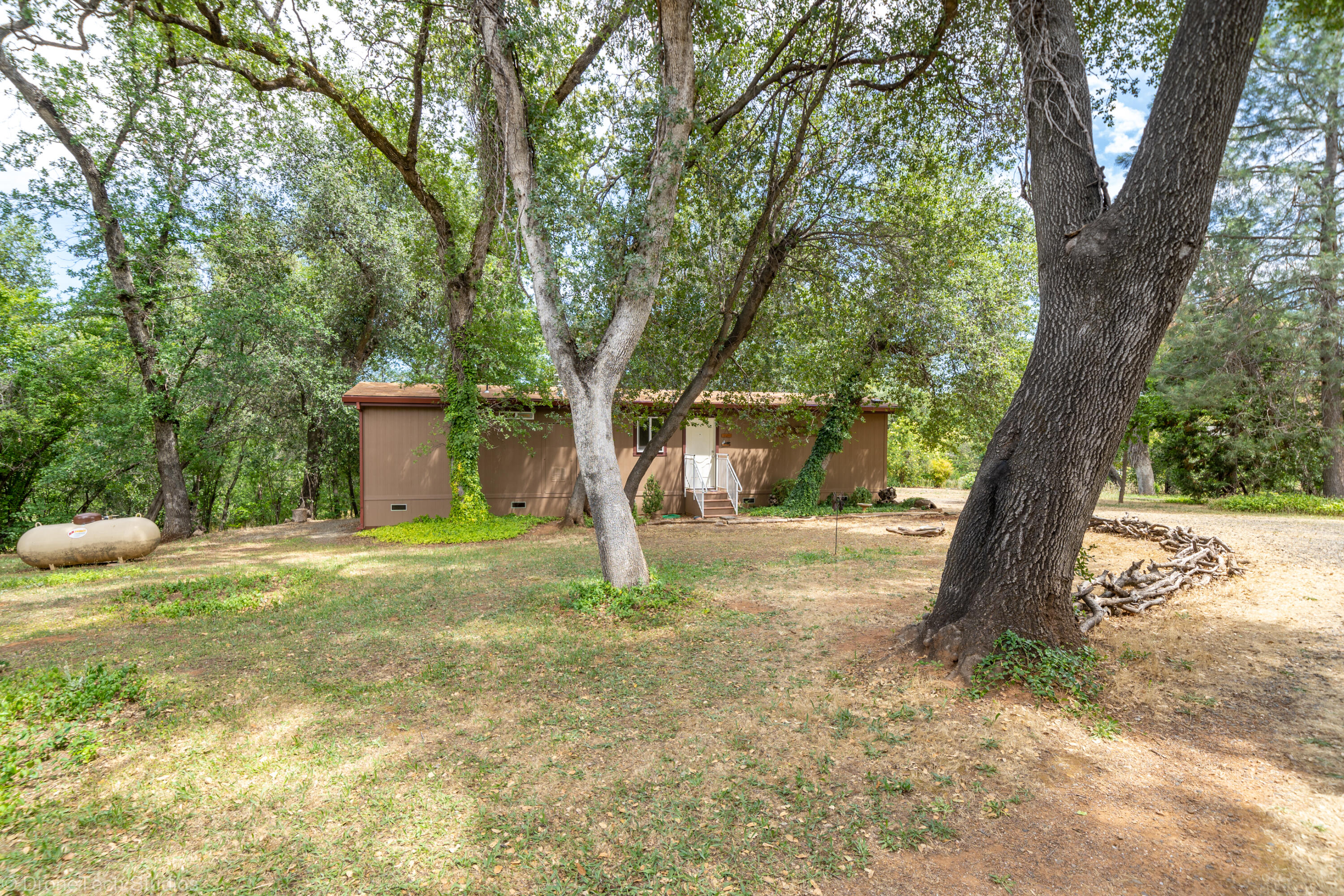 9983 Harley Leighton Road Redding, CA 96003 - Photo 47 of 58 Oak trees