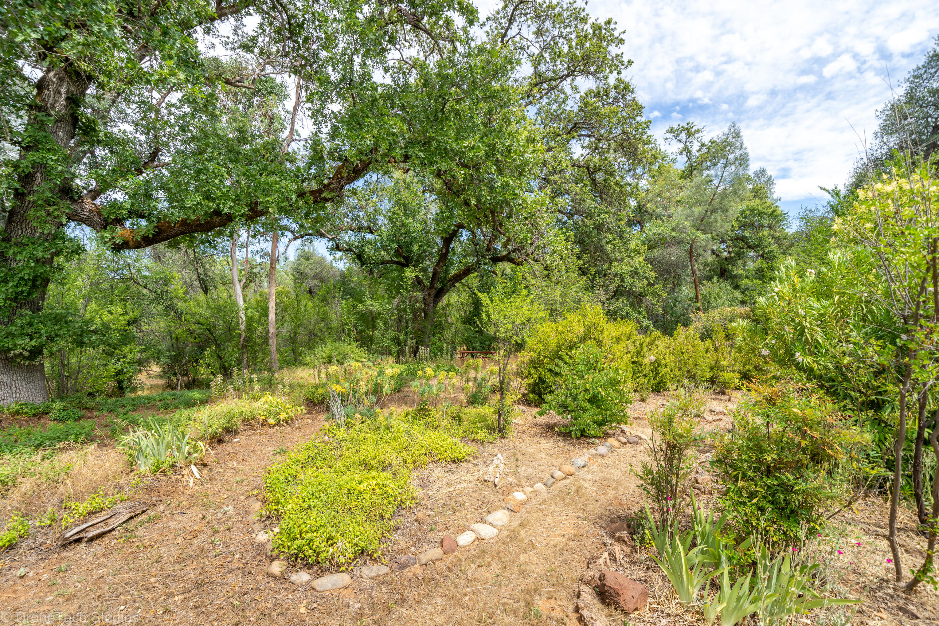 9983 Harley Leighton Road Redding, CA 96003 - Photo 51 of 58 Picnic area