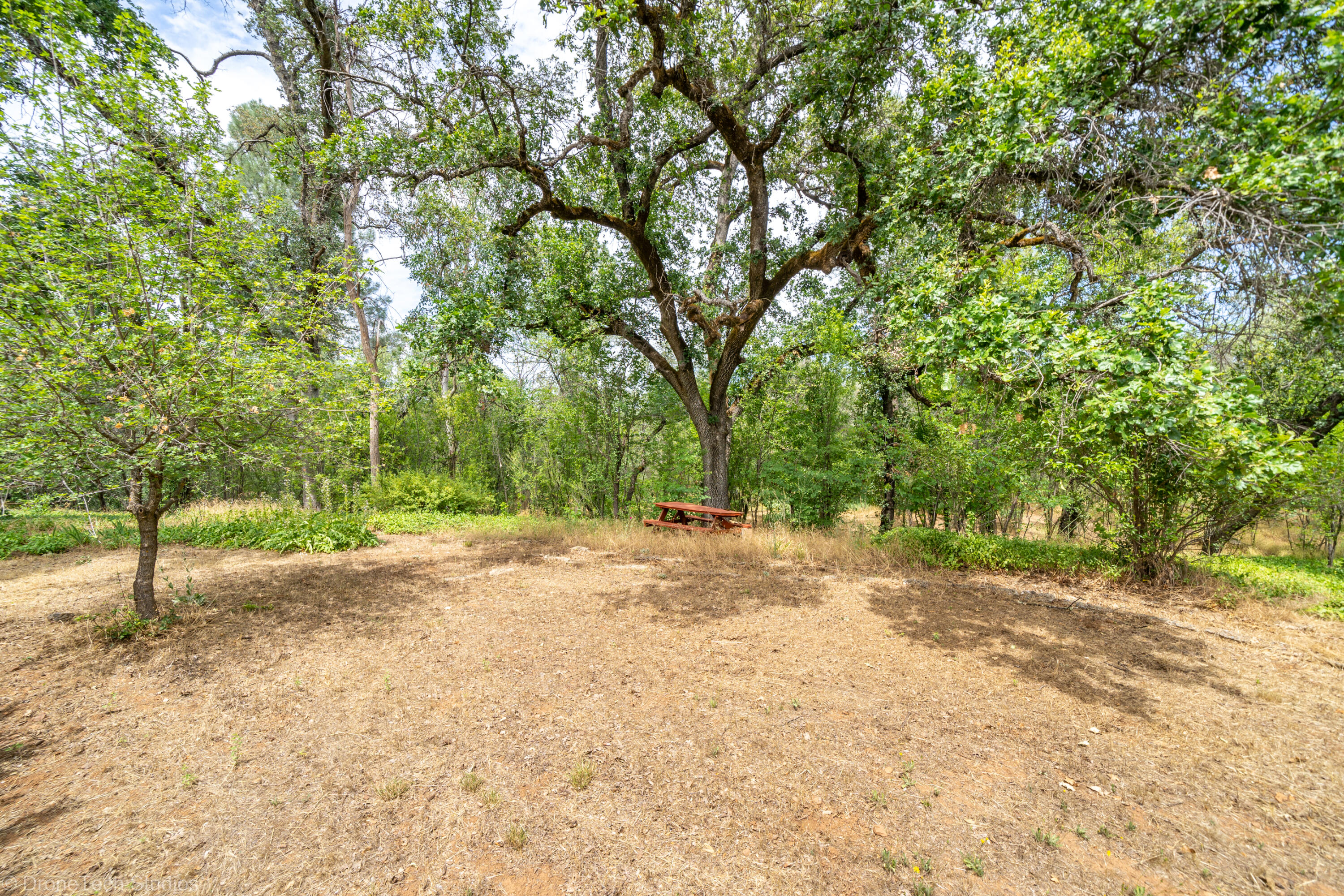 9983 Harley Leighton Road Redding, CA 96003 - Photo 52 of 58 Serene setting