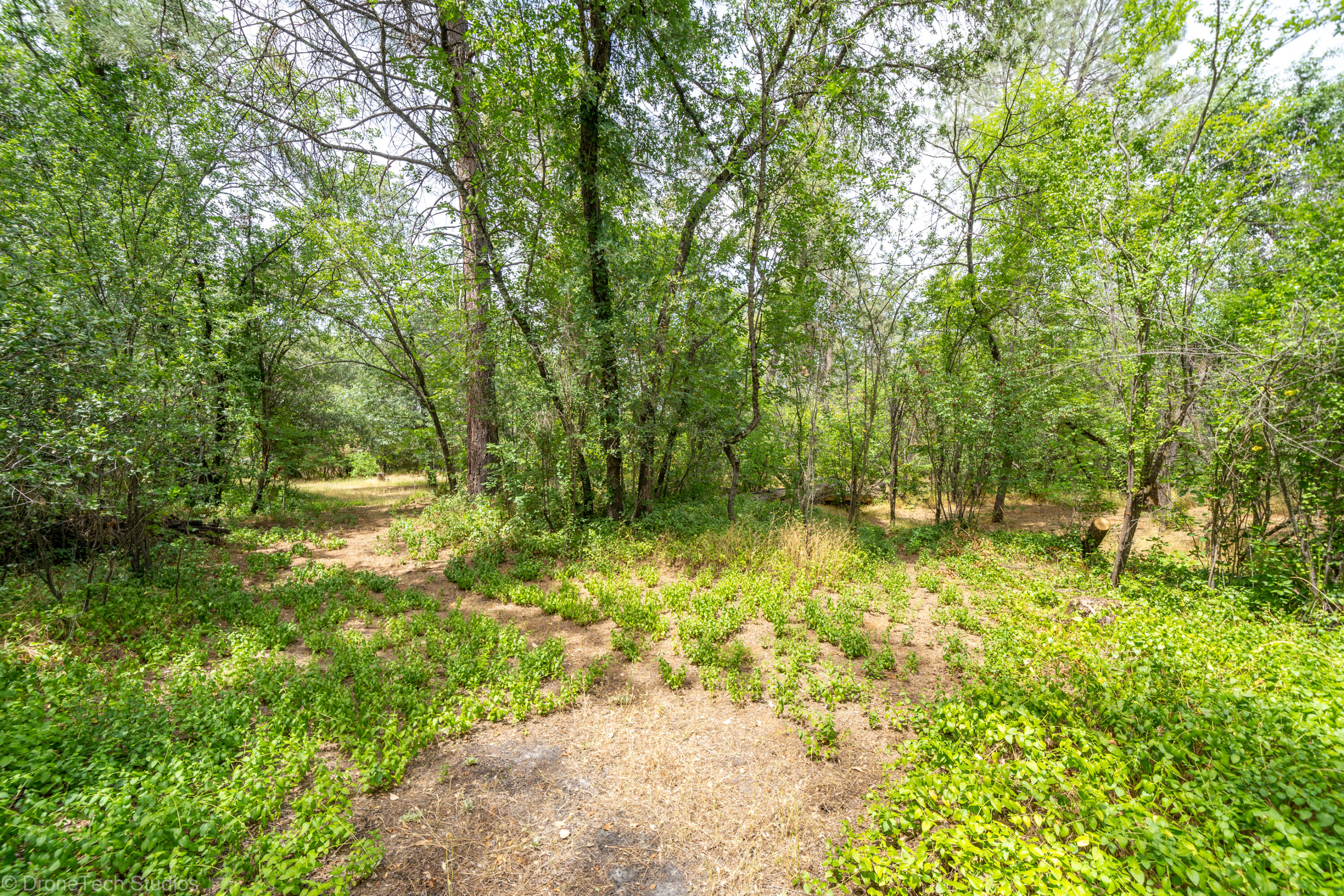9983 Harley Leighton Road Redding, CA 96003 - Photo 54 of 58 Plenty of shade