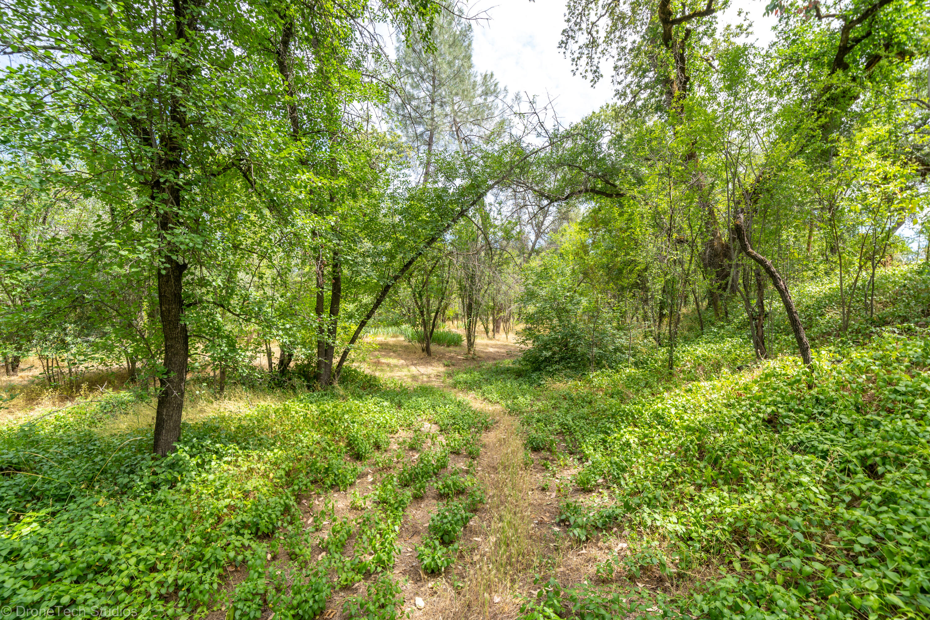 9983 Harley Leighton Road Redding, CA 96003 - Photo 55 of 58 Path to bluff