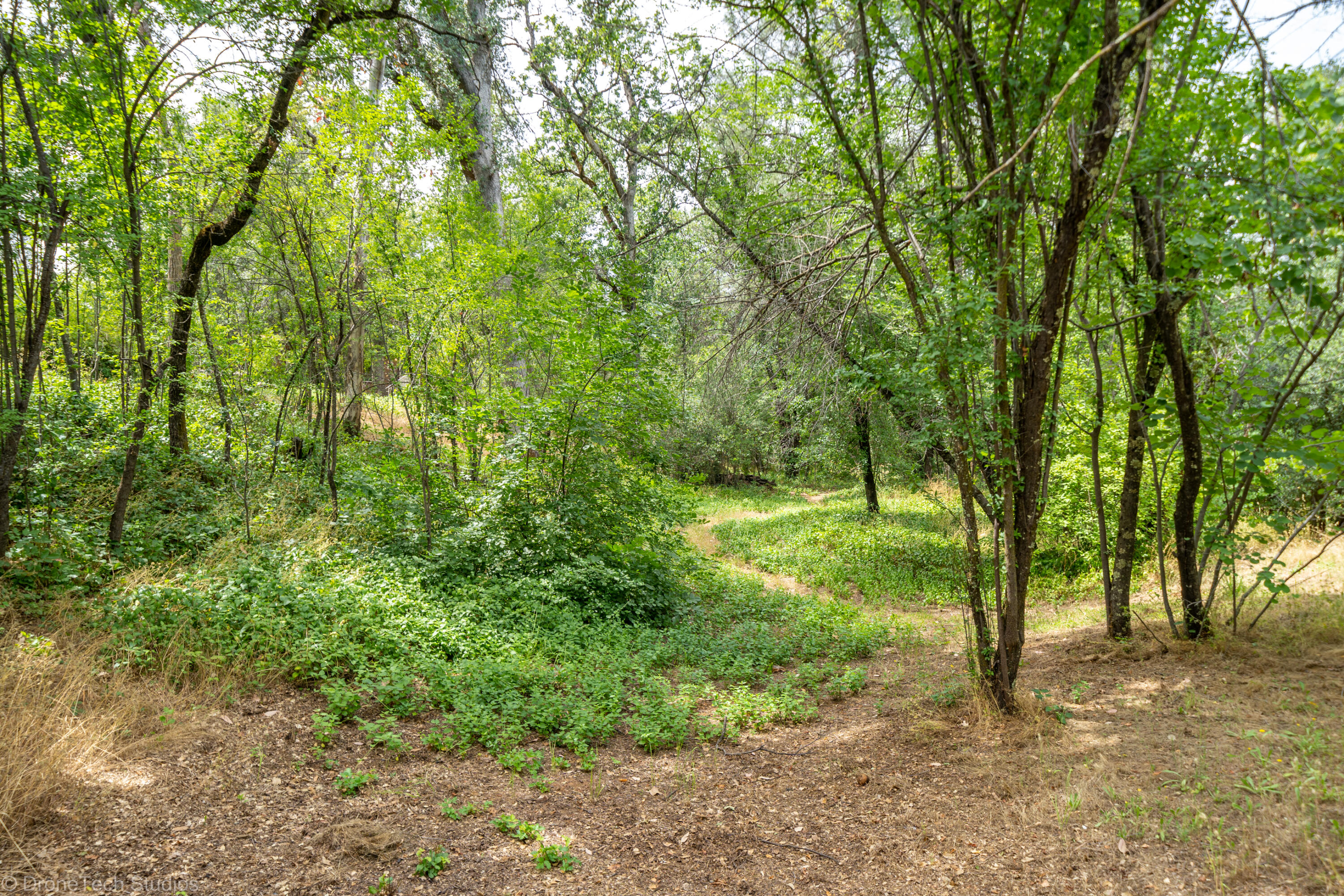 9983 Harley Leighton Road Redding, CA 96003 - Photo 56 of 58 Lower terrace