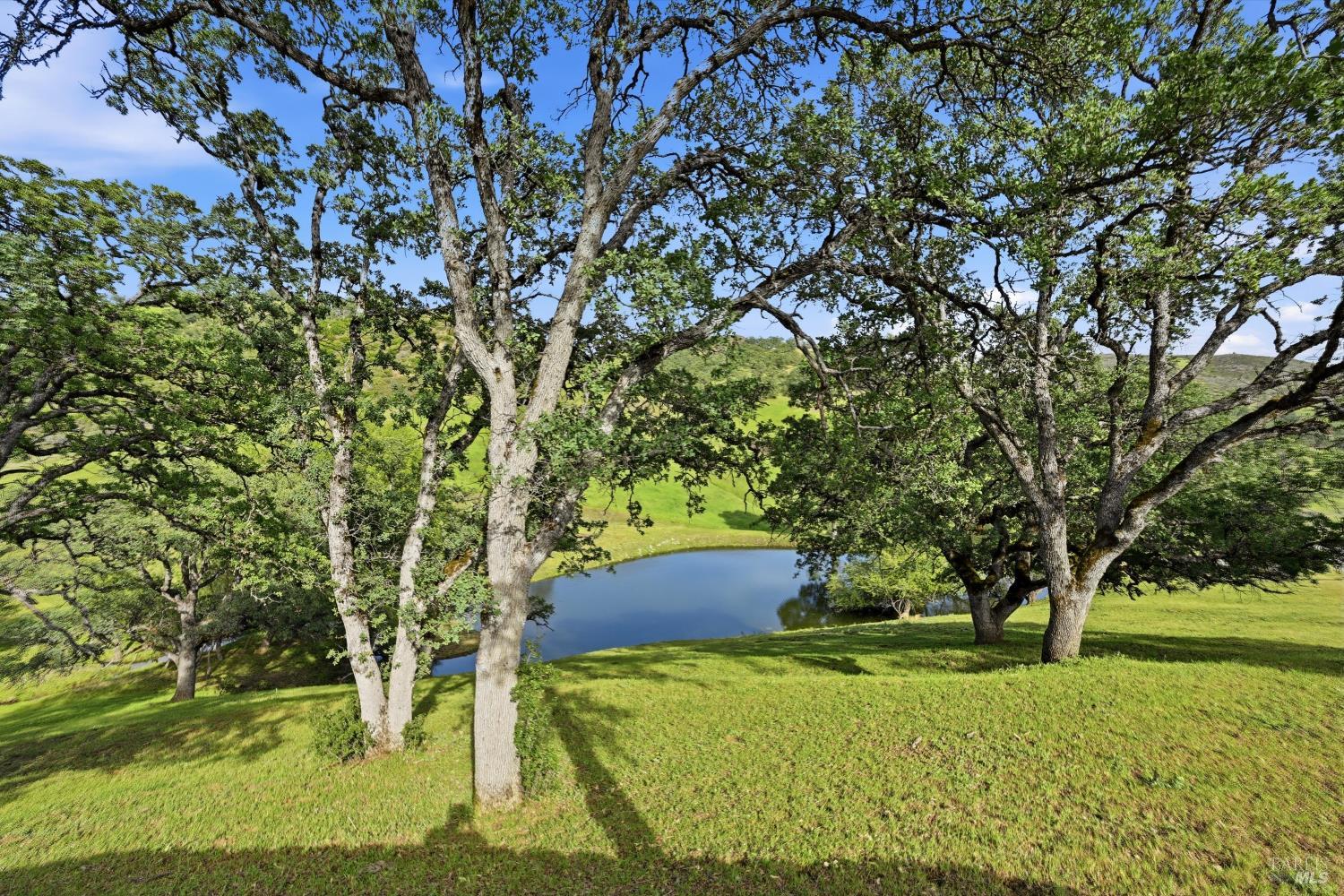 26200 Morgan Valley Road Lower Lake, CA 95457 - Photo 48 of 73