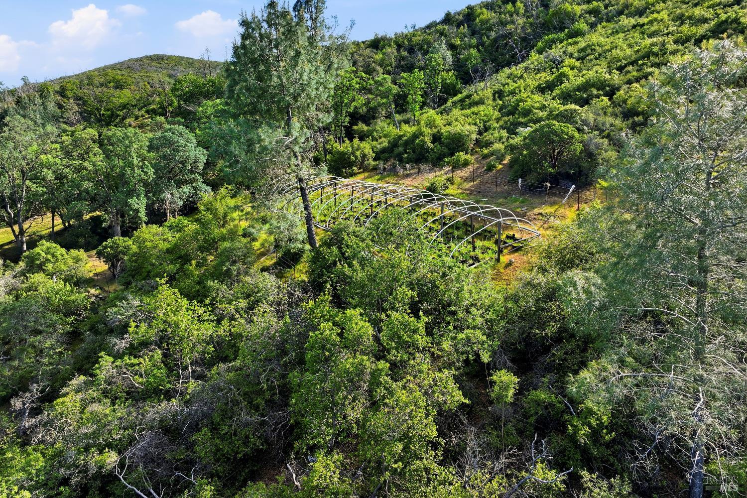 26200 Morgan Valley Road Lower Lake, CA 95457 - Photo 65 of 73