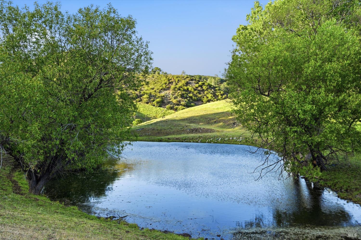 26200 Morgan Valley Road Lower Lake, CA 95457 - Photo 69 of 73