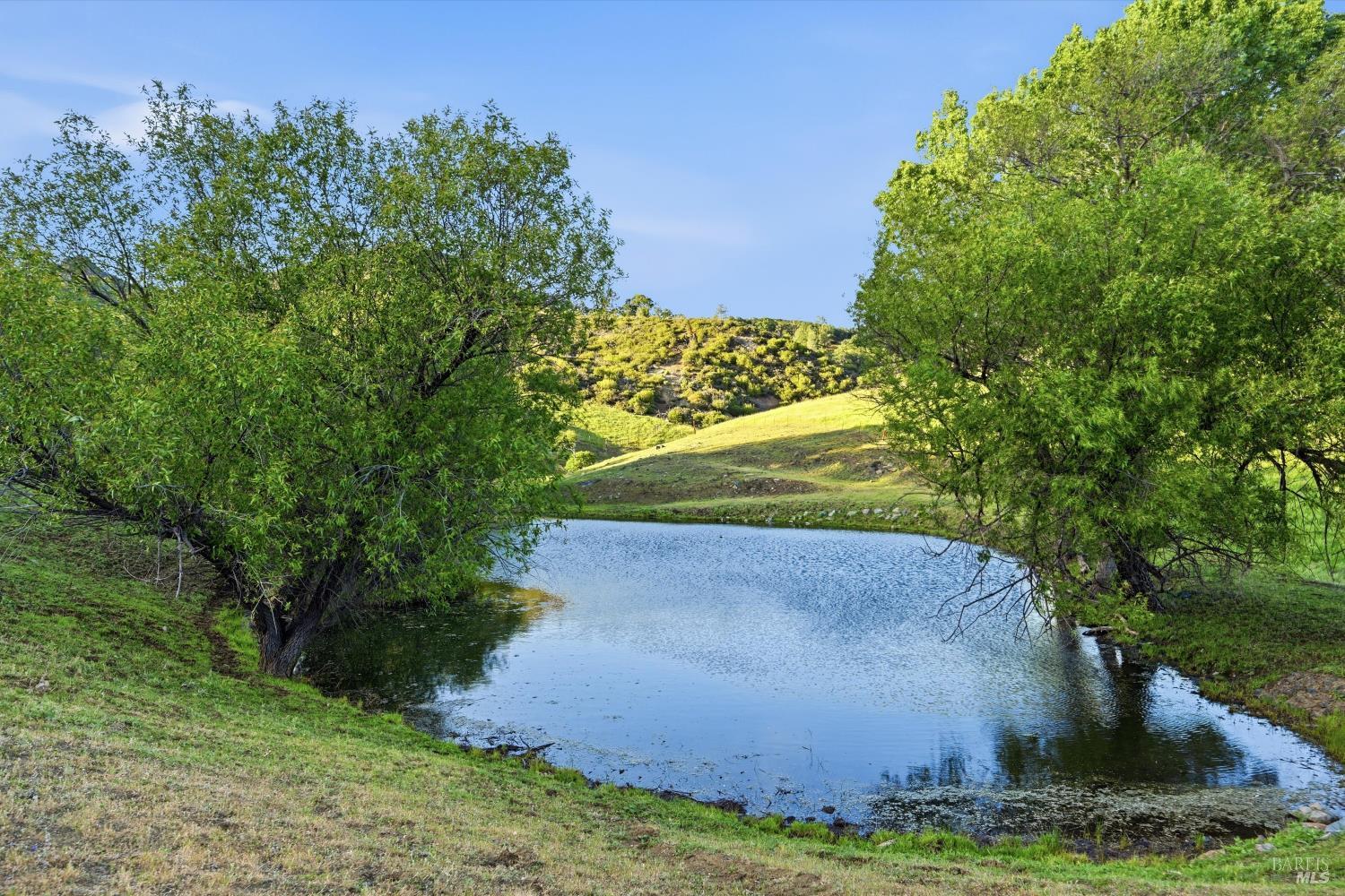 26200 Morgan Valley Road Lower Lake, CA 95457 - Photo 70 of 73