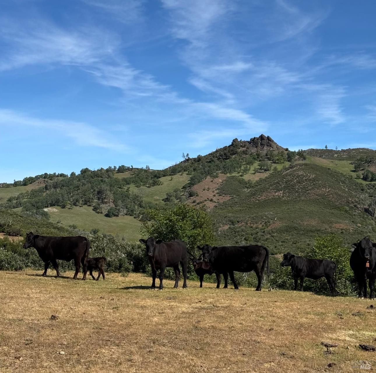 26200 Morgan Valley Road Lower Lake, CA 95457 - Photo 72 of 73