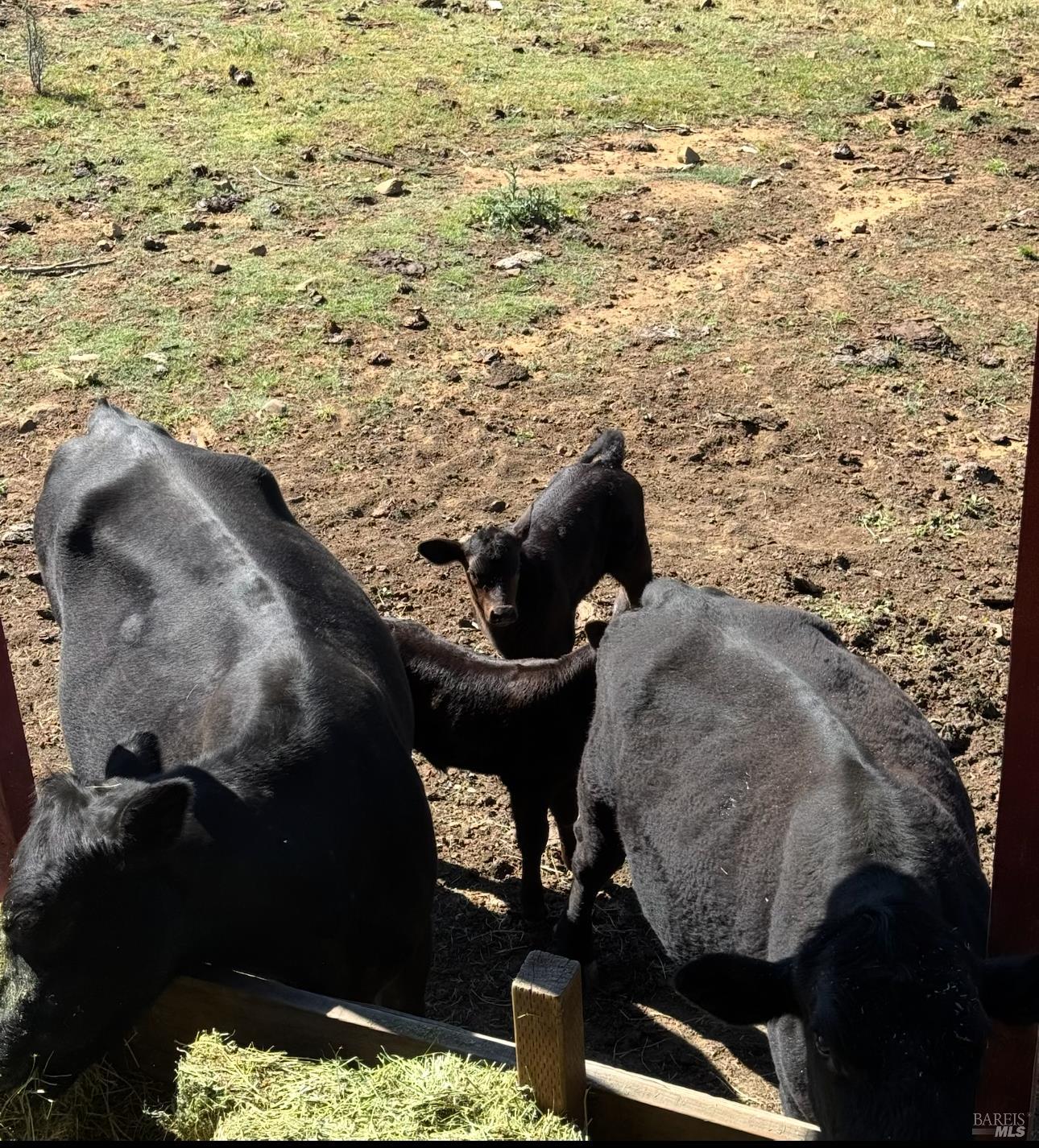 26200 Morgan Valley Road Lower Lake, CA 95457 - Photo 73 of 73