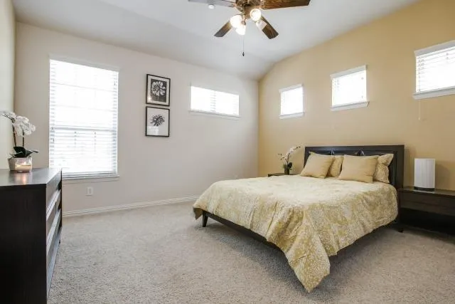 a bedroom with bed and window