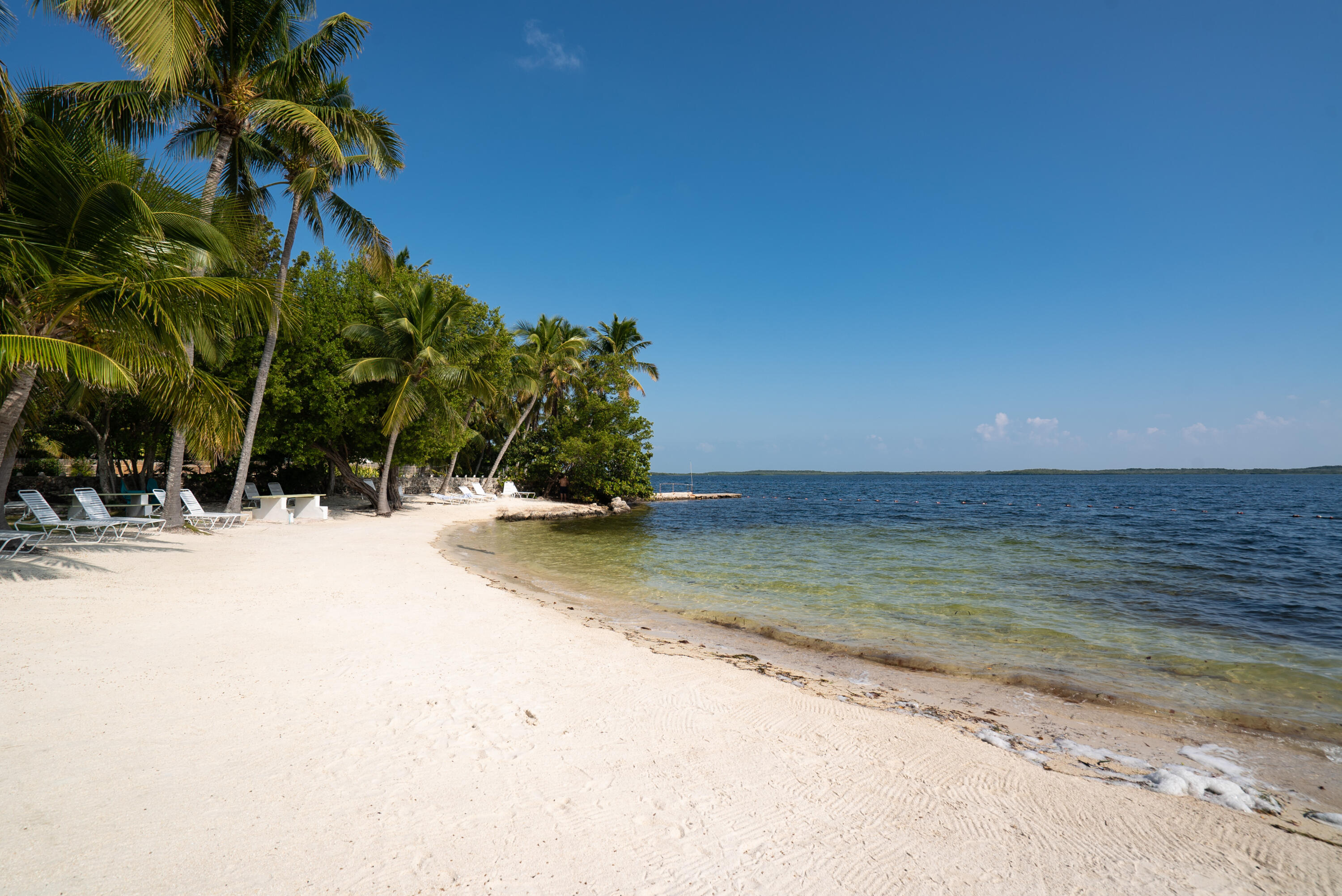 16 Jewfish Avenue Key Largo, FL 33037 - Photo 56 of 69 DSC09727-Edit