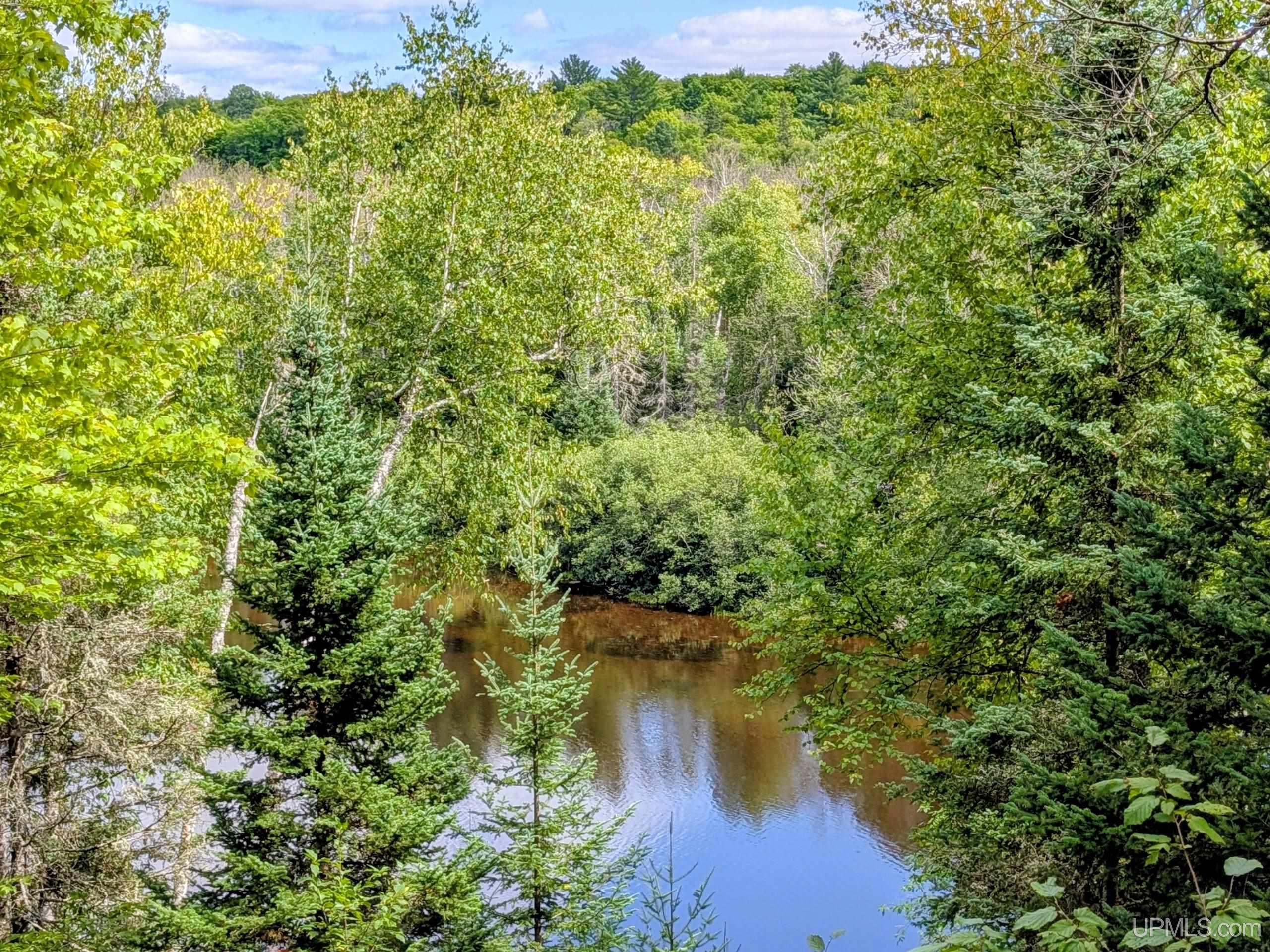 33-acres Off Net River Road Crystal Falls, MI 49920 - Photo 9 of 22