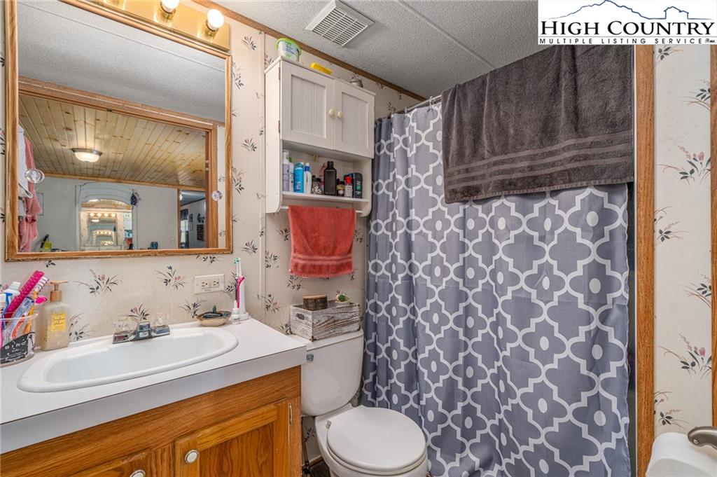 1310 Meat Camp Road Boone, NC 28607 - Photo 27 of 32 a bathroom with a sink toilet and shower