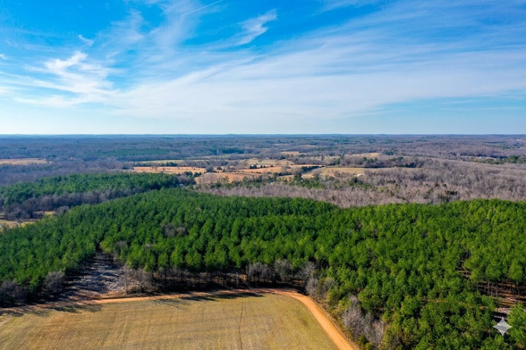 0 Doe Road Saltillo, TN 38370 - Photo 11 of 30 an aerial view of a houses with yard