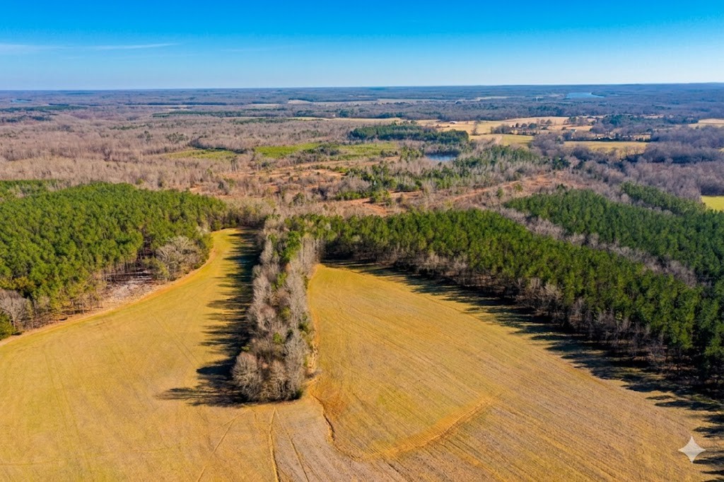 0 Doe Road Saltillo, TN 38370 - Photo 16 of 30 a view of a lake
