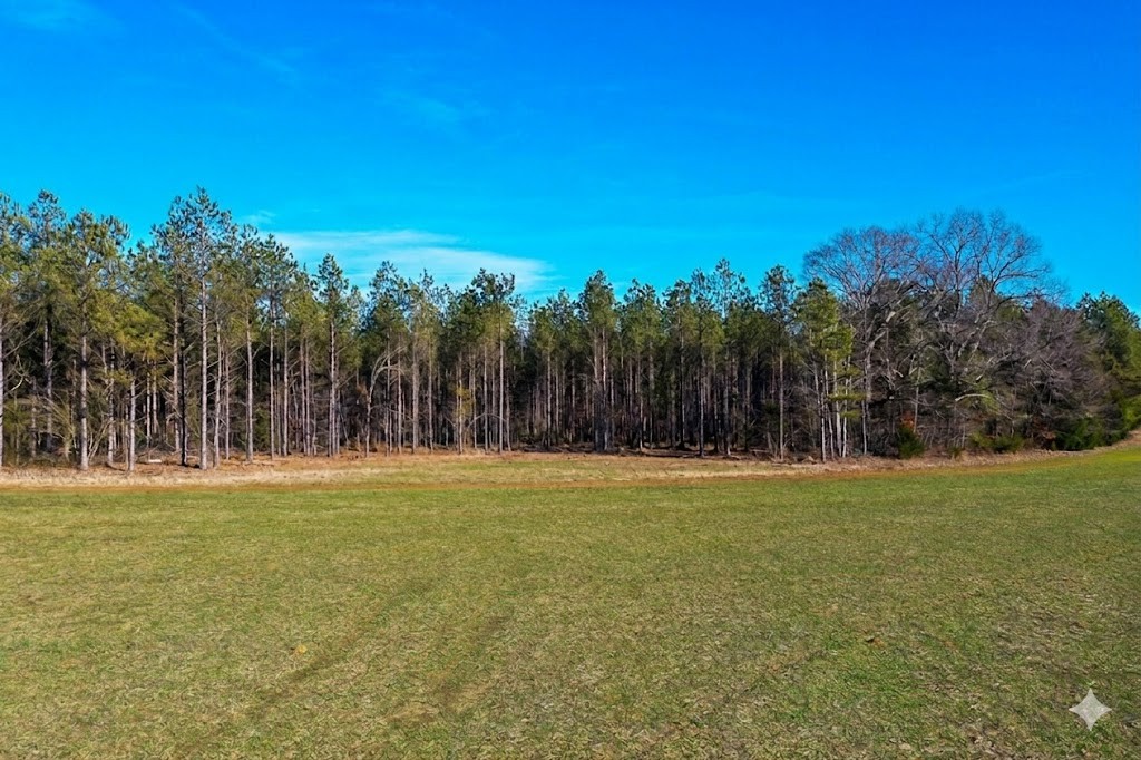 0 Doe Road Saltillo, TN 38370 - Photo 19 of 30 a view of tennis court