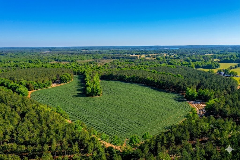 0 Doe Road Saltillo, TN 38370 - Photo 2 of 30 a view of a golf course with a garden