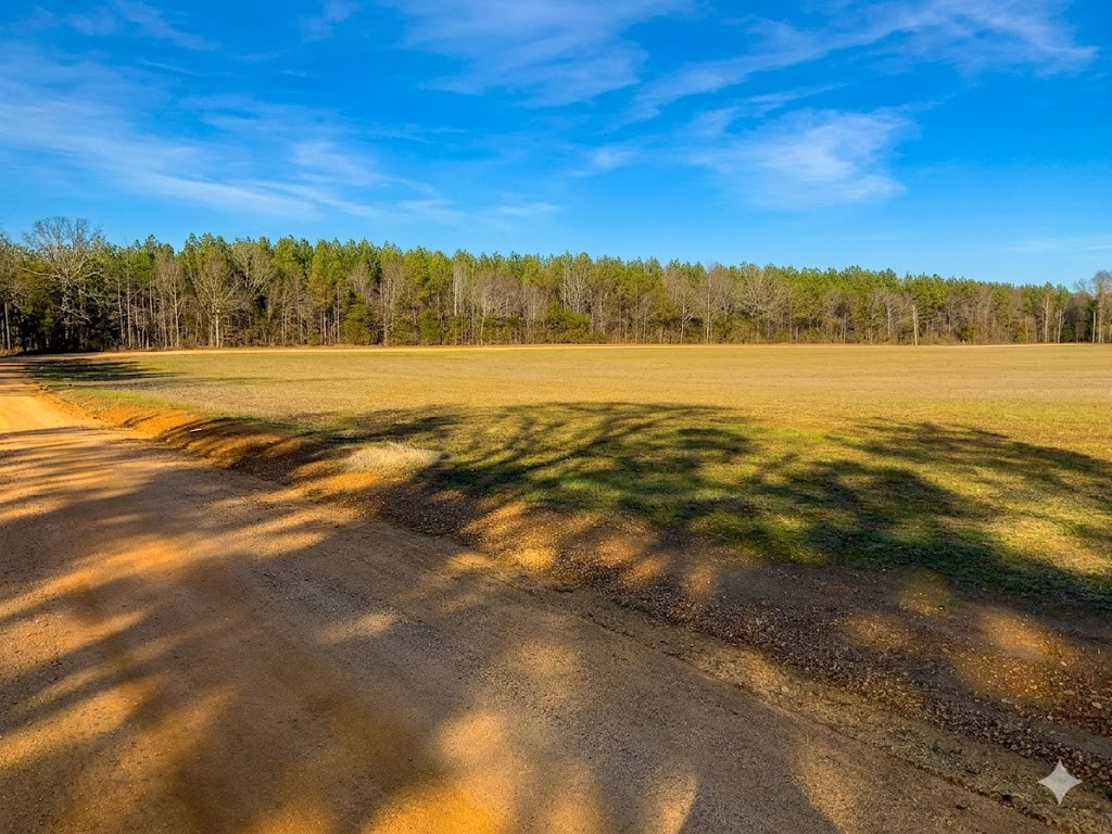0 Doe Road Saltillo, TN 38370 - Photo 22 of 30 a view of an ocean and city view
