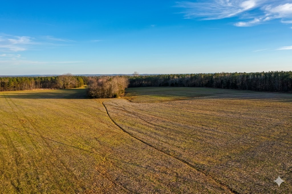 0 Doe Road Saltillo, TN 38370 - Photo 24 of 30 a view of an ocean and beach