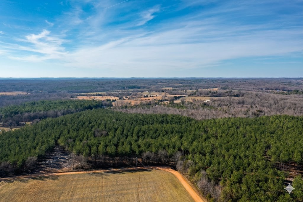 0 Doe Road Saltillo, TN 38370 - Photo 25 of 30 an aerial view of a house